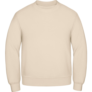 Gildan Softstyle Sweatshirt